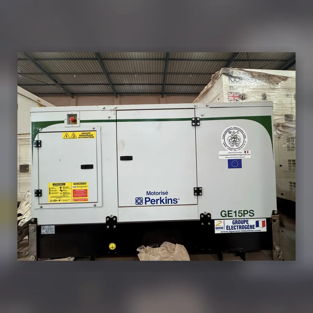 Groupe Perkins GE15PS